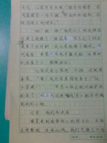 作文,校園生活,字數(shù)
