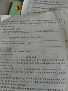 校園一角怎么寫(xiě)作文?,校園一角怎么寫(xiě)作文四年級(jí),推薦圖書(shū)館怎么寫(xiě)作文