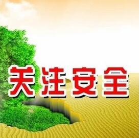 小學生校園安全作文400字作文