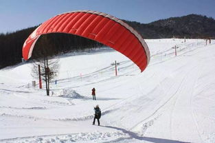 神農(nóng)架滑雪場(chǎng)注意事項(xiàng),神農(nóng)架旅游注意事項(xiàng),滑雪注意事項(xiàng)和要領(lǐng)