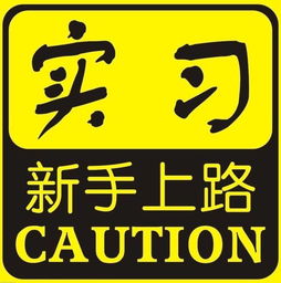 新手上路注意事項(xiàng)及駕車技巧,新手上路的注意事項(xiàng),機(jī)動(dòng)車新手上路注意事項(xiàng)