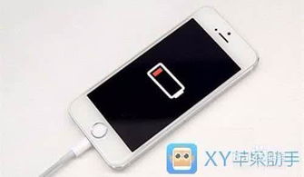 注意事項(xiàng),充電,蘋果
