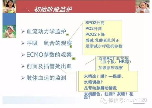 ecmo重要護(hù)理注意事項(xiàng)