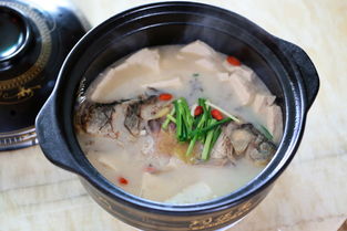 鯽魚(yú)豆腐湯的注意事項(xiàng),解剖鯽魚(yú)的注意事項(xiàng),冬季釣鯽魚(yú)注意事項(xiàng)