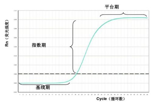 實時熒光PCR結(jié)果分析,實時熒光定量pcr結(jié)果分析,乙肝實時熒光定量pcr結(jié)果分析