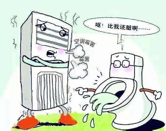 細(xì)菌,注意事項,保養(yǎng)