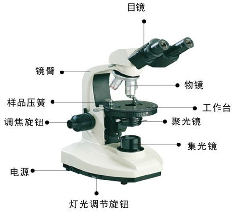 購(gòu)買(mǎi)顯微鏡注意事項(xiàng)
