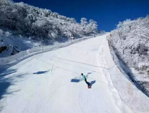 七星嶺滑雪注意事項(xiàng),滑雪的注意事項(xiàng),滑雪注意事項(xiàng)和要領(lǐng)