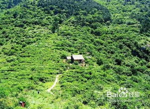 野外游泳的注意事項(xiàng),野外施工安全注意事項(xiàng),野外宿營注意事項(xiàng)
