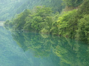 10月九寨溝旅游注意事項(xiàng),九寨溝旅游的注意事項(xiàng),九寨溝旅游注意事項(xiàng)須知
