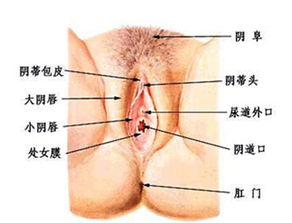 膿腫,術后,注意事項,巴氏