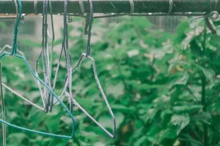 梅雨季節(jié)寶寶生活注意事項