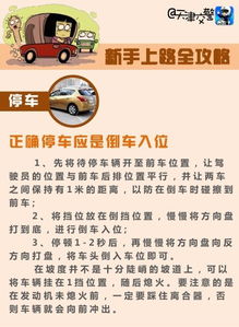 注意事項(xiàng),上路,新手