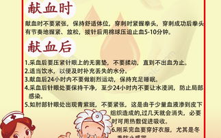 獻(xiàn)血注意事項主要幾點女生,獻(xiàn)血注意事項主要幾點,獻(xiàn)血注意事項和禁忌癥