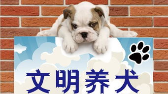 養(yǎng)狗,注意事項,農村