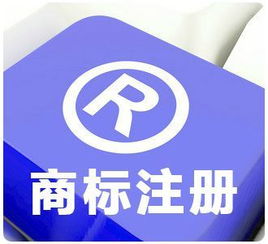 商標(biāo)查詢注意事項