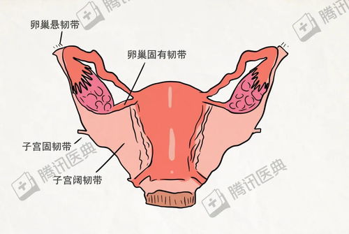 30歲切除子宮注意事項(xiàng)