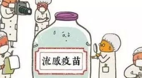疫苗,流感,注意事項(xiàng)