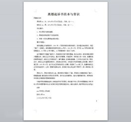 注意事項(xiàng),簡(jiǎn)答題,寫作,起訴狀