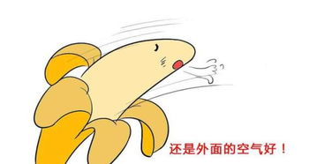 長沙,陰莖,延長,注意事項