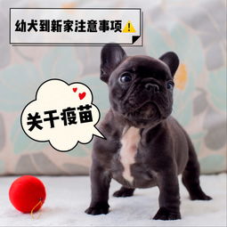 順產(chǎn),注意事項(xiàng)
