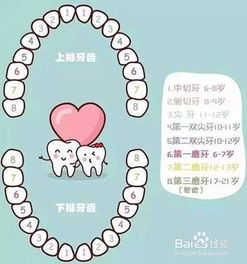 幼兒換牙期注意事項(xiàng)