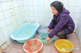 做婆婆的注意事項(xiàng),婆婆要再婚注意事項(xiàng),送婆婆禮物注意事項(xiàng)