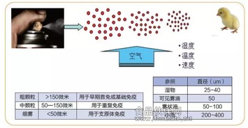 豬群免疫注意事項,飲水免疫注意事項,球蟲免疫注意事項