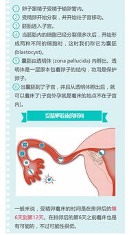 受精卵著床注意事項(xiàng),著床出血注意事項(xiàng),受精卵著床前注意事項(xiàng)