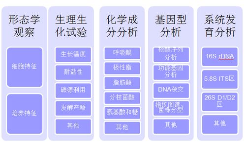 接種,微生物,注意事項(xiàng)