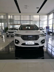 h6新車交付注意事項
