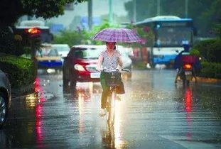 臺(tái)風(fēng)暴雨天氣安全注意事項(xiàng),臺(tái)風(fēng)暴雨天氣行車注意事項(xiàng),臺(tái)風(fēng)天氣安全注意事項(xiàng)