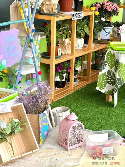 幼兒園圖書角注意事項,幼兒園植物角注意事項,自然角的注意事項