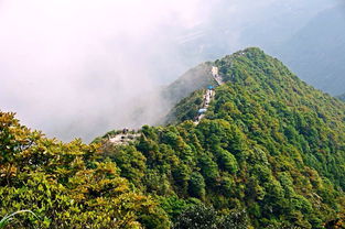 過夜,注意事項(xiàng),梧桐山