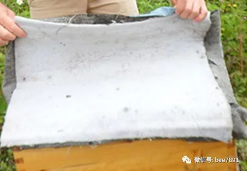 新手養(yǎng)蜂注意事項(xiàng),陽臺養(yǎng)蜂注意事項(xiàng),塑料桶養(yǎng)蜂注意事項(xiàng)