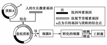 細菌重組質(zhì)粒的轉(zhuǎn)化注意事項