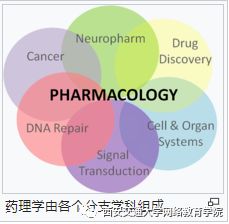 藥理學,注意事項,kcl