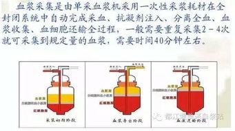 獻(xiàn)血漿前后的注意事項