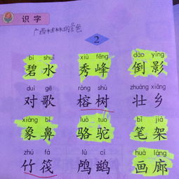 導(dǎo)游詞安全注意事項,導(dǎo)游詞注意事項講解,撰寫導(dǎo)游詞的注意事項