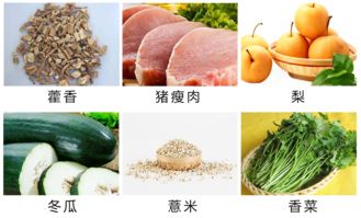 濕熱體質(zhì)的注意事項,濕熱體質(zhì)的人注意事項,關于濕熱體質(zhì)之人運動的注意事項正確的是