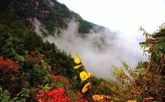 爬山,注意事項(xiàng),大明山