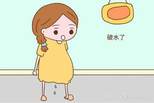 注意事項(xiàng),懷孕