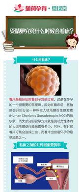 著床當(dāng)天注意事項(xiàng)
