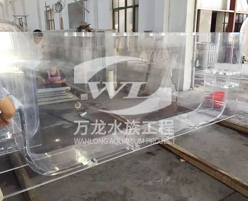定做龍魚缸注意事項(xiàng)