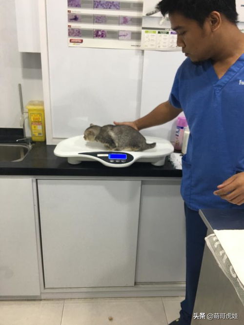 去機場接領導注意事項,去機場接老板的注意事項,去機場接人注意事項