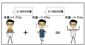 816減肥法的注意事項,八小時減肥法注意事項,哈佛減肥法注意事項