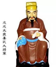 太歲,注意事項
