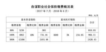 社?；鶖?shù)怎么申報,社?；鶖?shù)申報是什么意思,社?；鶖?shù)申報時間