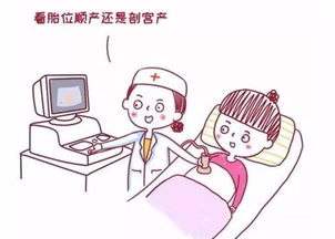 雙胎產(chǎn)后注意事項(xiàng),雙采雙檢注意事項(xiàng),孕雙胎注意事項(xiàng)