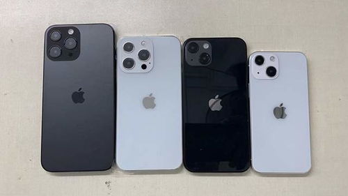 注意事項,蘋果,ZG